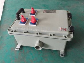 防爆控制箱定制与采购指南 深入解析防爆按钮箱、操作箱及价格考量